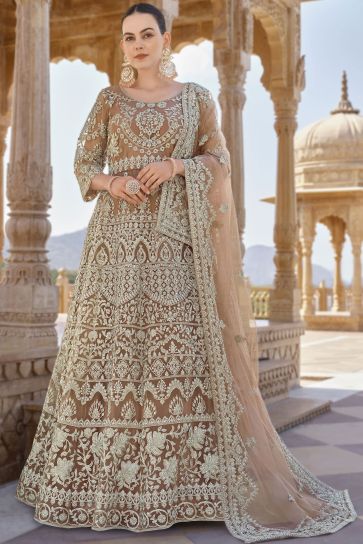 Chikoo Color Exquisite Embroidered Work Anarkali Suit In Net Fabric